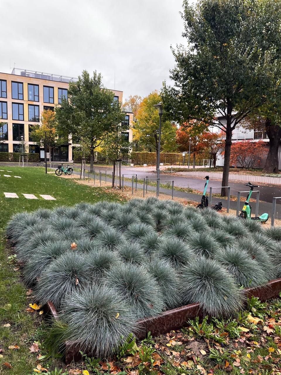 Фотозвіт з університетів Берліну — наш візит 2023